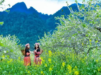 Những lưu ý khi đi du lịch Mộc Châu