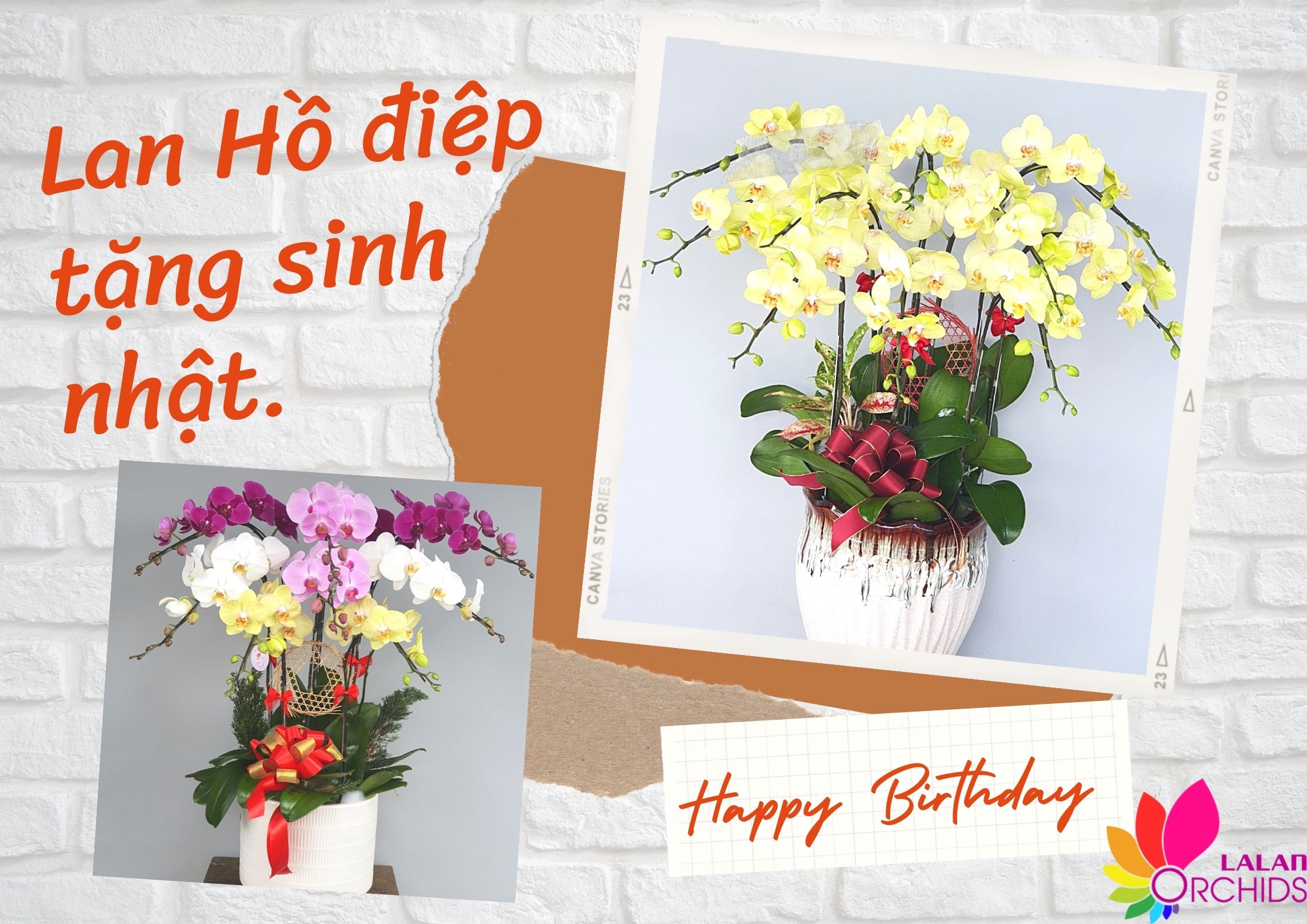 HOA SINH NHẬT TẶNG MẸ ĐẸP  RẺ  Ý NGHĨA NHẤT  Hanoi Florist