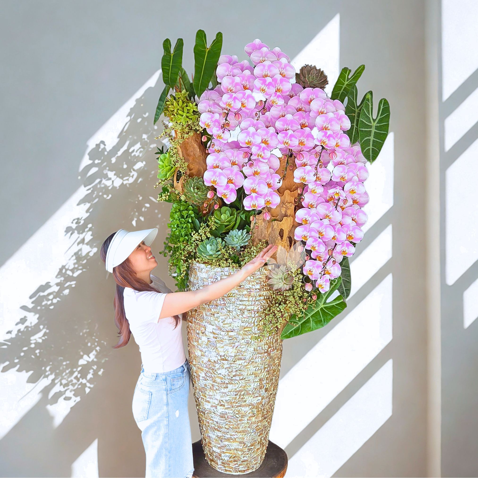 Lan hồ điệp hồng cao cấp gỗ lũa