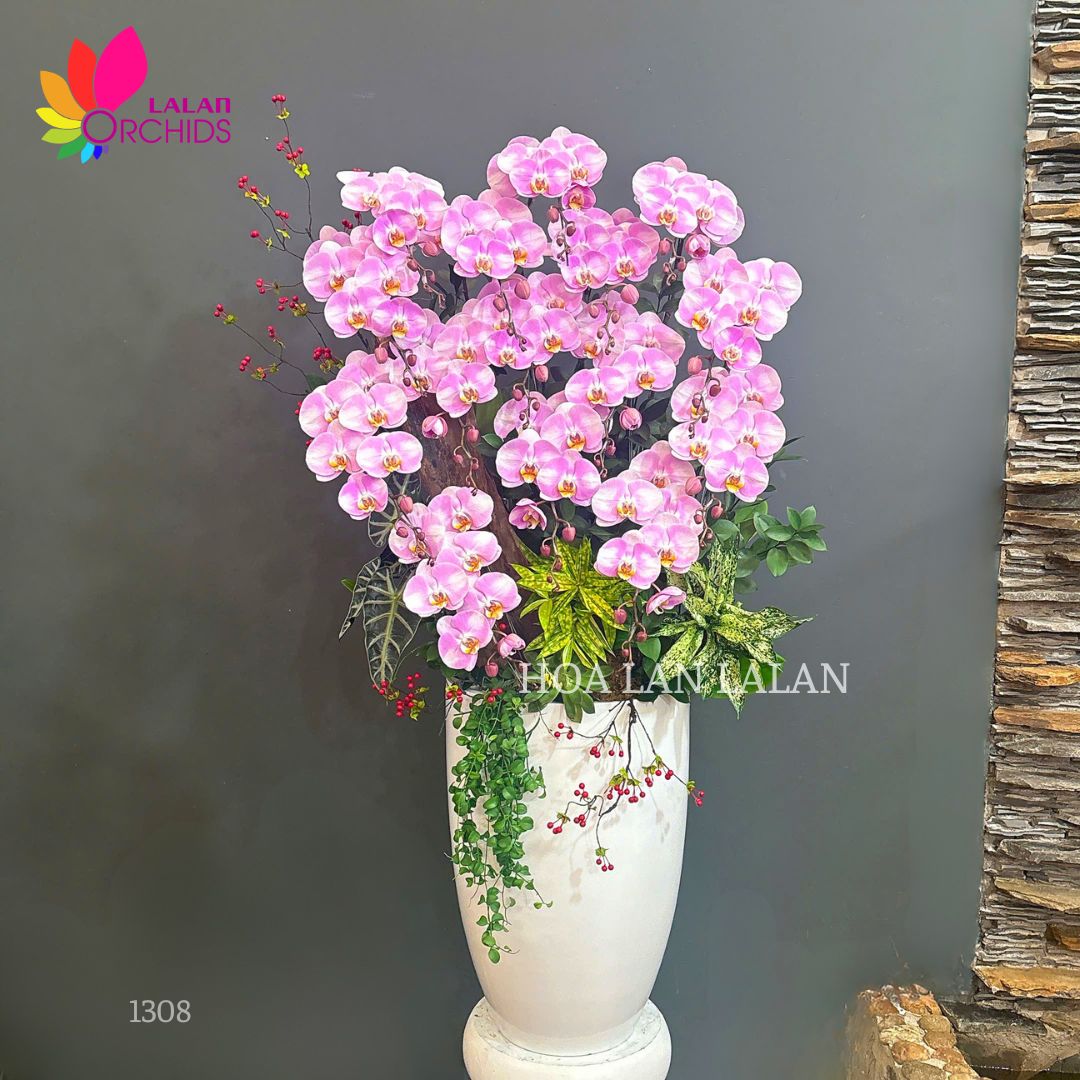 Lan hồ điệp hồng apolo cắm kiểu - LHD1308