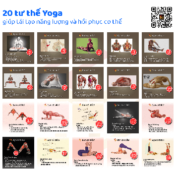 20 tư thế Yoga giúp tái tạo năng lượng và hồi phục cơ thể