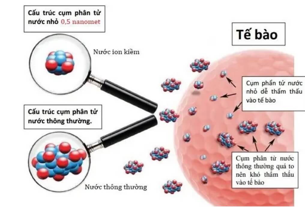 Cấu-Trúc-Phân-Tử-Nước-Ion-Kiềm-Nhỏ