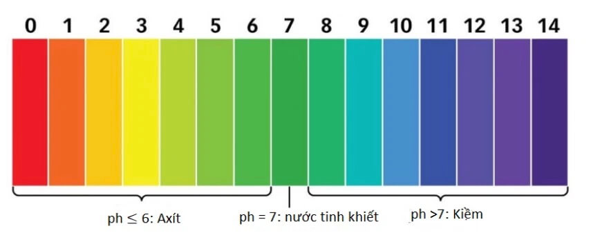 Độ-pH-Của-Nước-Trong-Cơ-Thể-Người