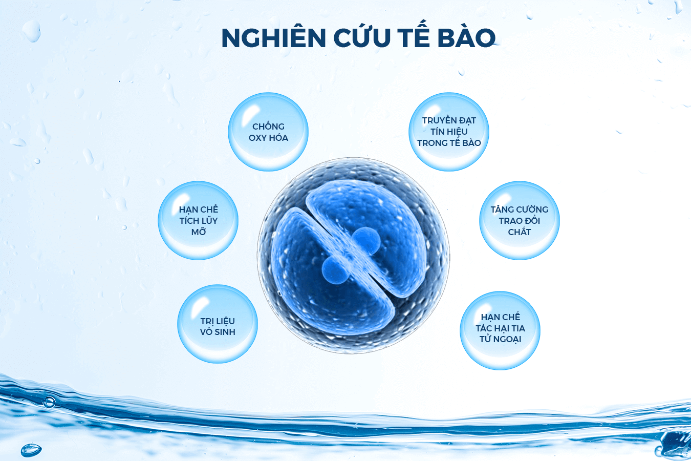 Nghiên cứu tác dụng Hydro trên tế bào.