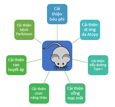 Công dụng của Hydro sau khi nghiên cứu trên động vật.