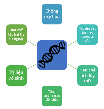 Công dụng của Hydro sau khi nghiên cứu mức tế bào.