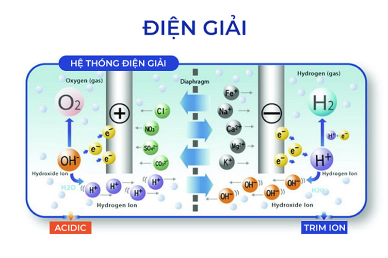 may-loc-nuoc-ion-kiem-loai-nao-tot