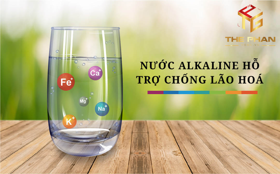 Nước-Alkaline-Hỗ-Trợ-Lão-Hoá