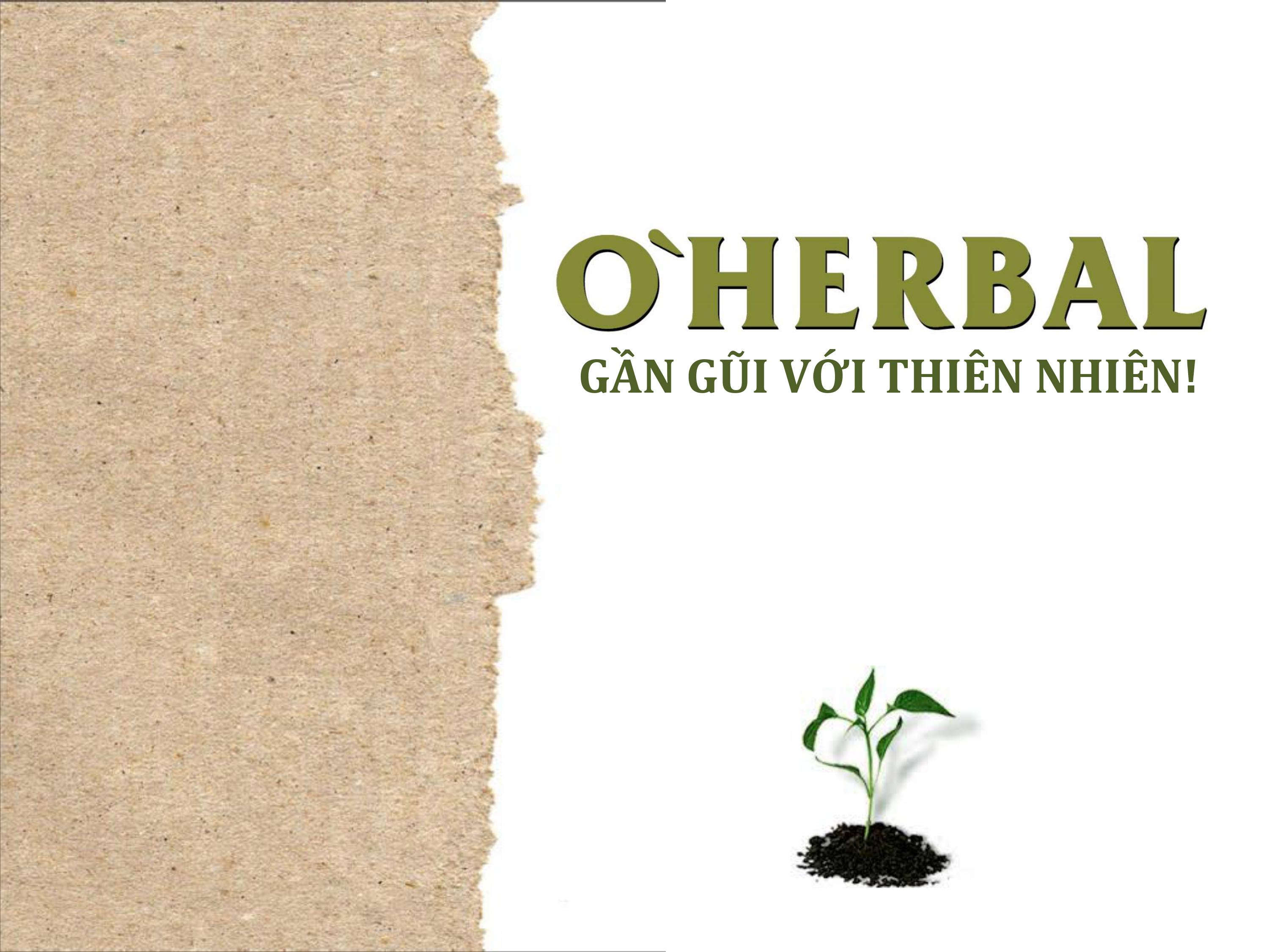Giới thiệu dầu gội O'HERBAL