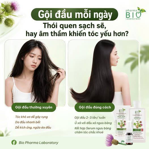 GỘI ĐẦU ĐÚNG CÁCH ĐỂ HẠN CHẾ GÃY RỤNG - NHỮNG SAI LẦM NHIỀU NGƯỜI MẮC PHẢI