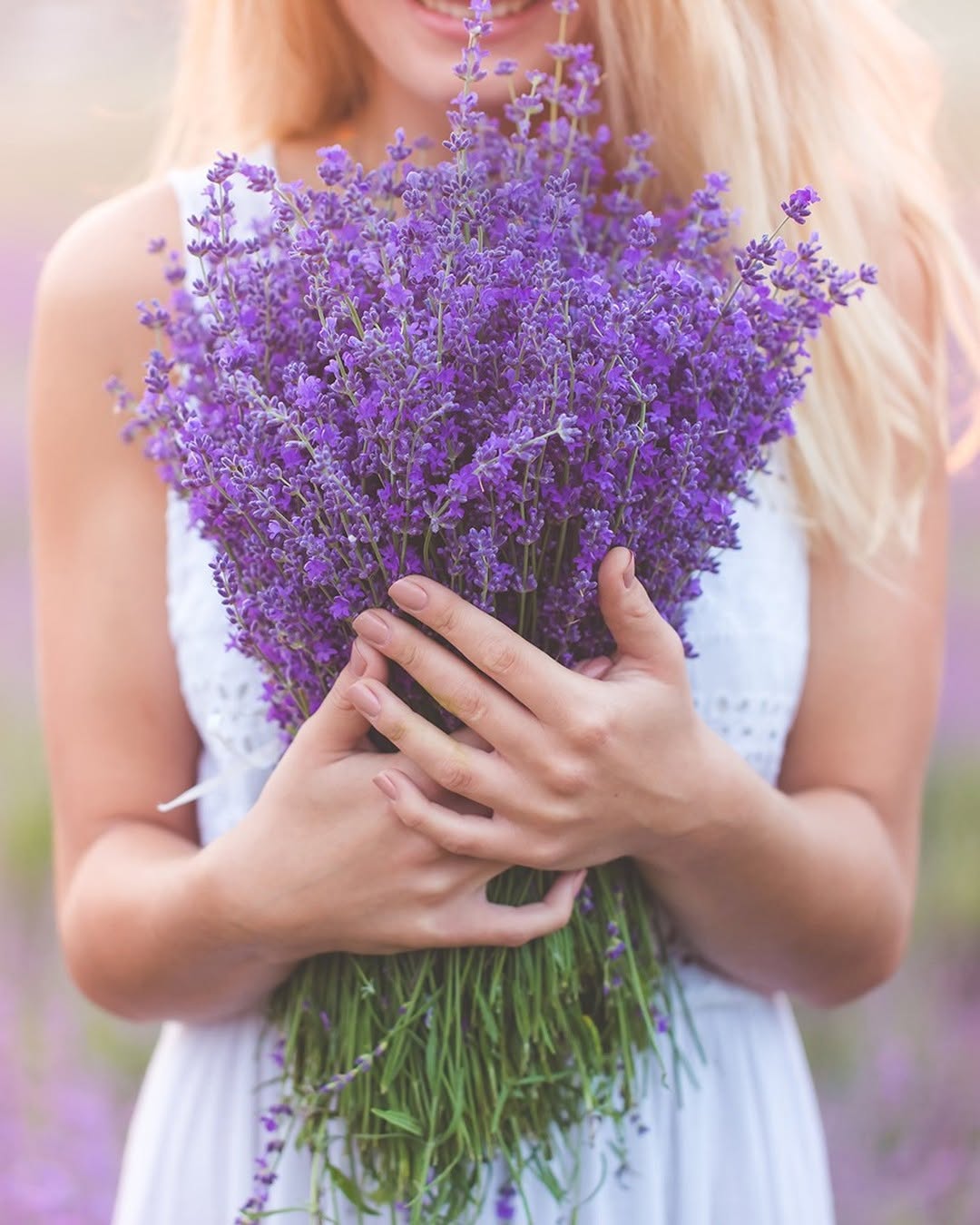 Gel tắm Green Pharmacy Hoa Oải Hương & Dầu Hạt Lanh – Khi mỗi lần tắm là một khoảng lặng chữa lành cho làn da và tâm trí