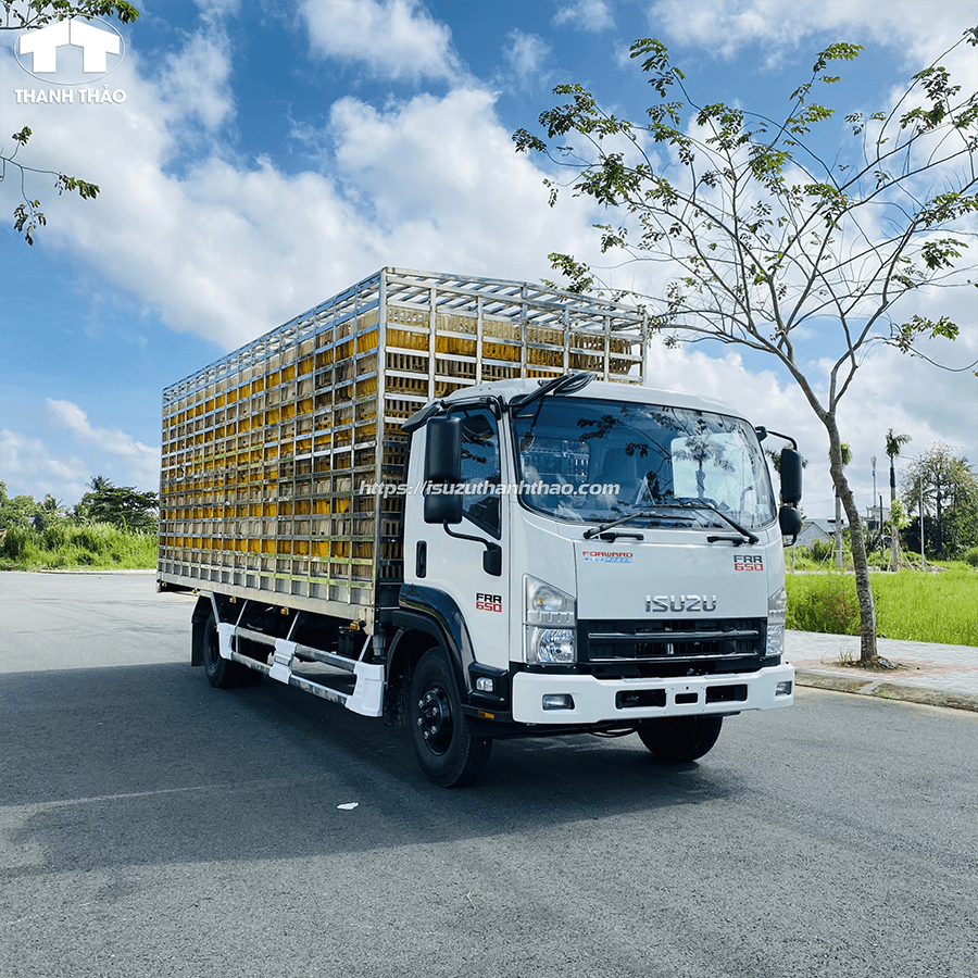 Xe Tải Isuzu FRR650 Chở Gia Cầm - Tải 5.5 tấn - Thùng dài 6m7