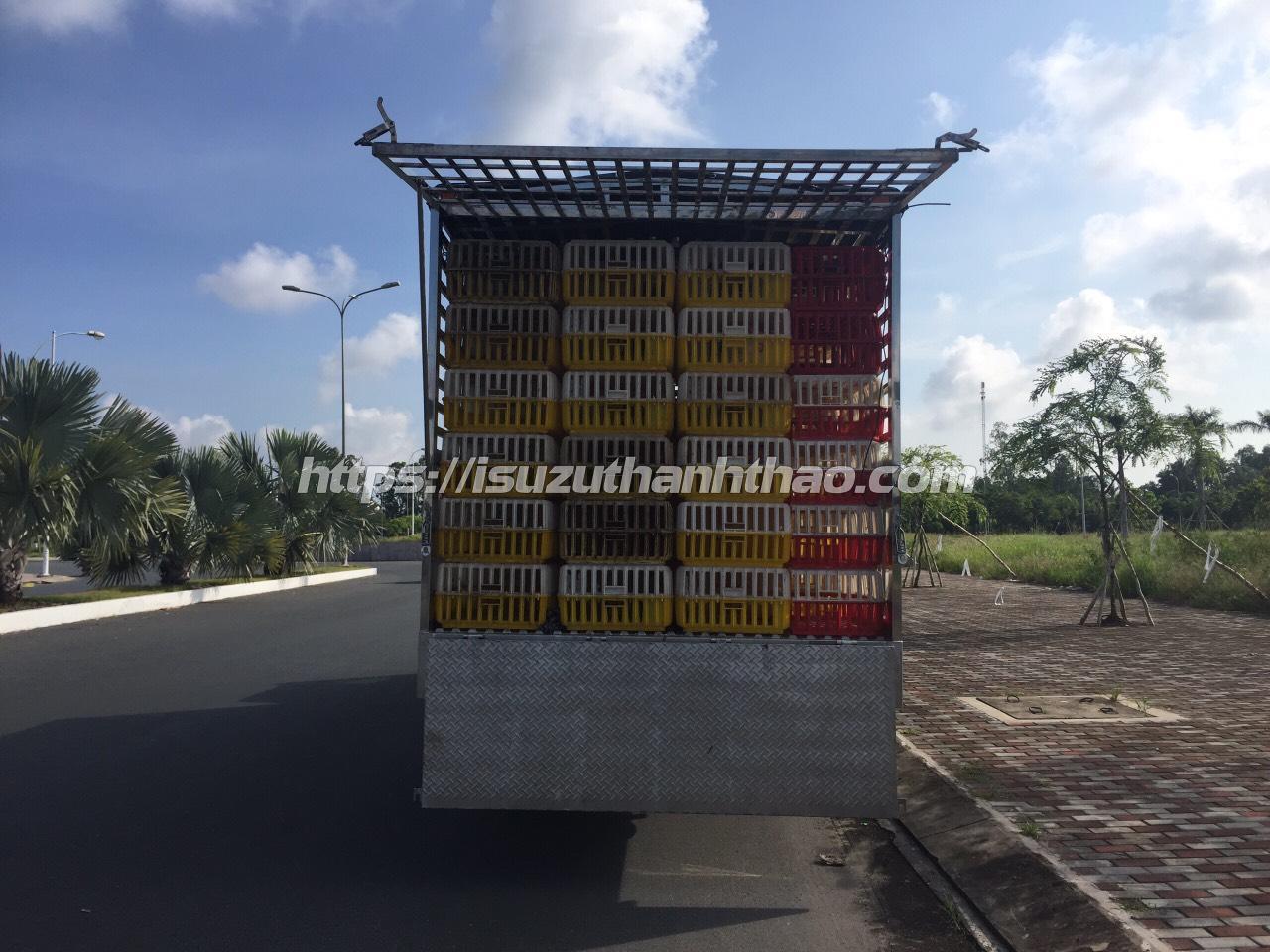 Xe Tải Isuzu NQR550 Chở Gia Cầm - Tải 4.9 tấn - Thùng dài 6m1