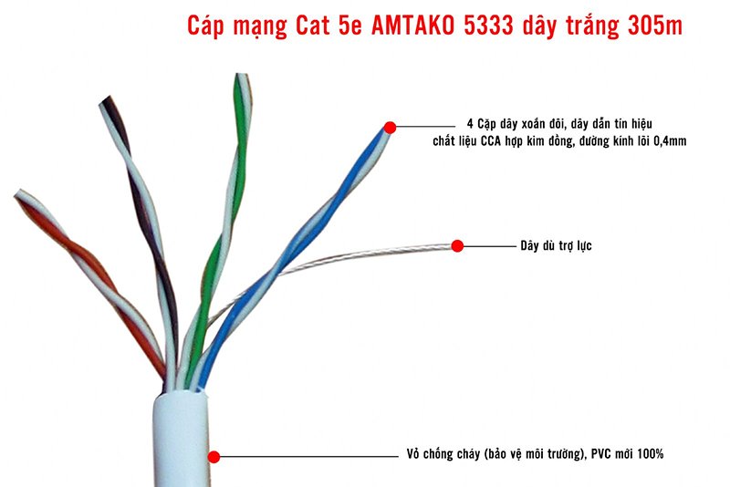Cáp mạng- Tìm hiểu và phân biệt các loại dây mạng