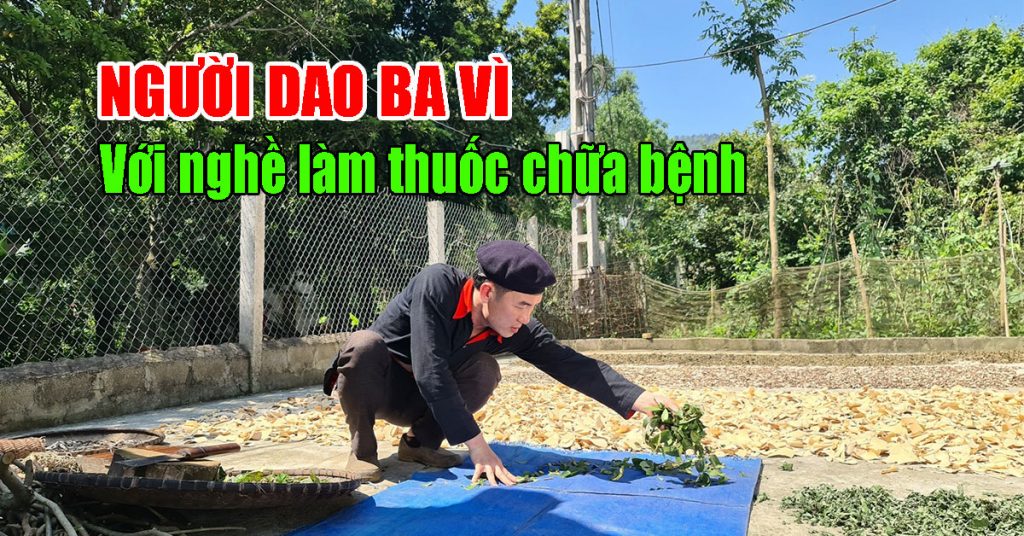 Chia Sẻ Nghề Thuốc Nam Của Người Dao Trên Núi Ba Vì