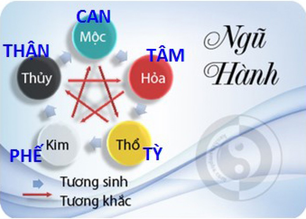 NHỮNG TRIỆU CHỨNG LÀ BIẾT BỆNH, THEO THUYẾT ĐÔNG Y !