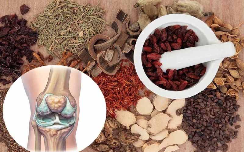 8 Bài thuốc dân gian chữa bệnh viêm khớp hiệu quả