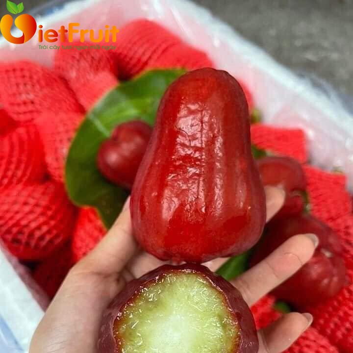 SỰ DIỆU KỲ CỦA QUẢ ROI (MẬN MIỀN NAM )