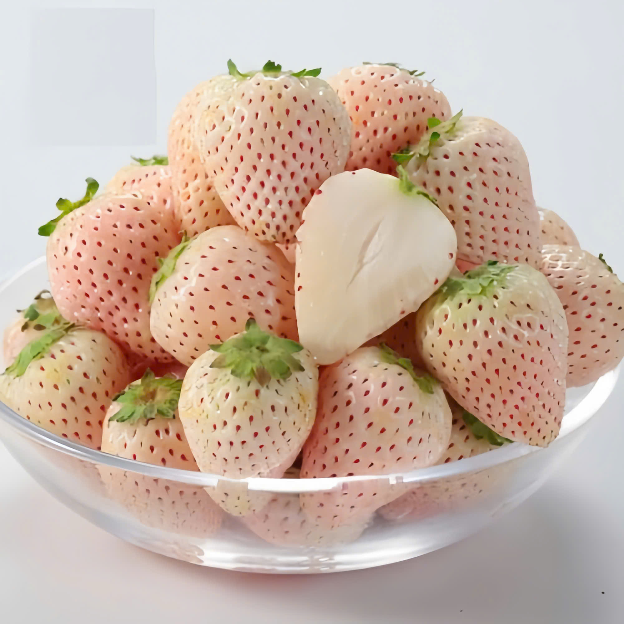 Dâu Bạch Tuyết – Khi vị ngọt mang sắc màu của sự tinh tế