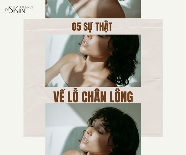 lỗ chân lông ảnh hưởng như thế nào tới da mặt bạn