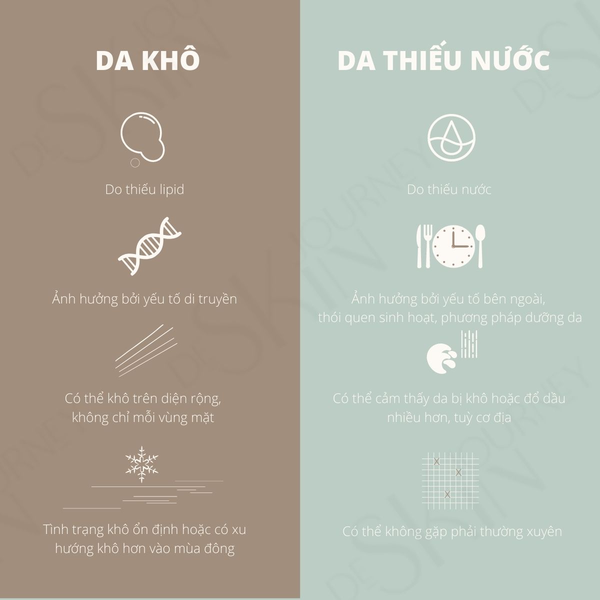 nguyên dân dẫn đến Da khô da thiếu nước