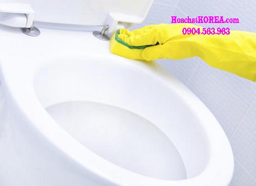 Lau chùi chà cọ bệ toilet. Lau chùi chà cọ bệ toilet.