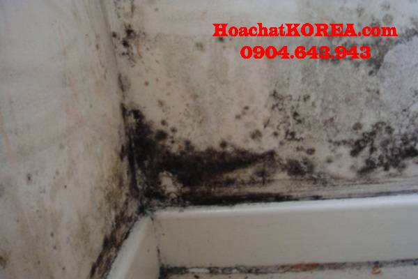Cách vệ sinh vết bẩn trên tường Cách vệ sinh vết bẩn trên tường
