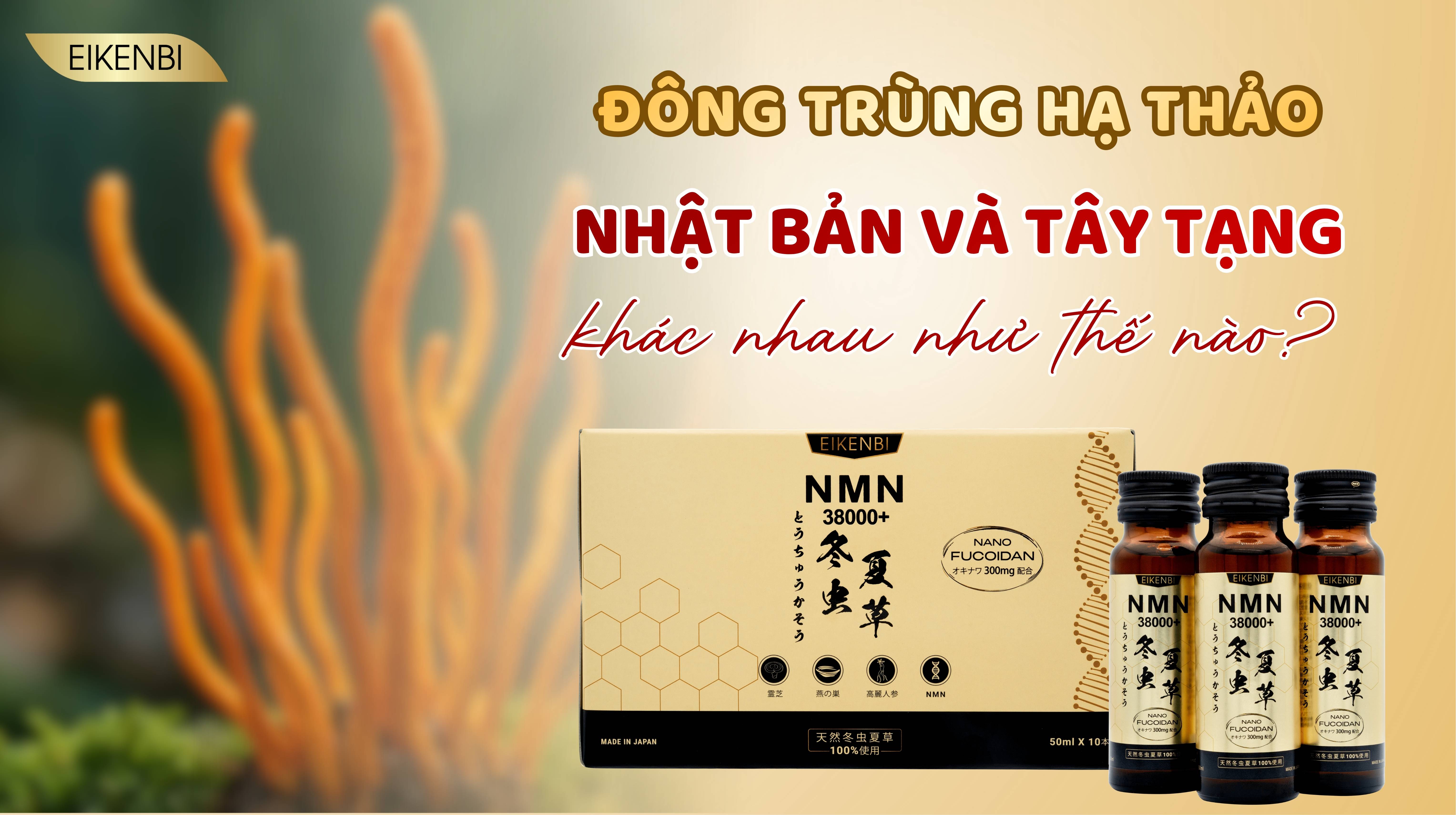 Đông Trùng Hạ Thảo Nhật Bản Khác Gì Đông Trùng Hạ Thảo Tây Tạng?