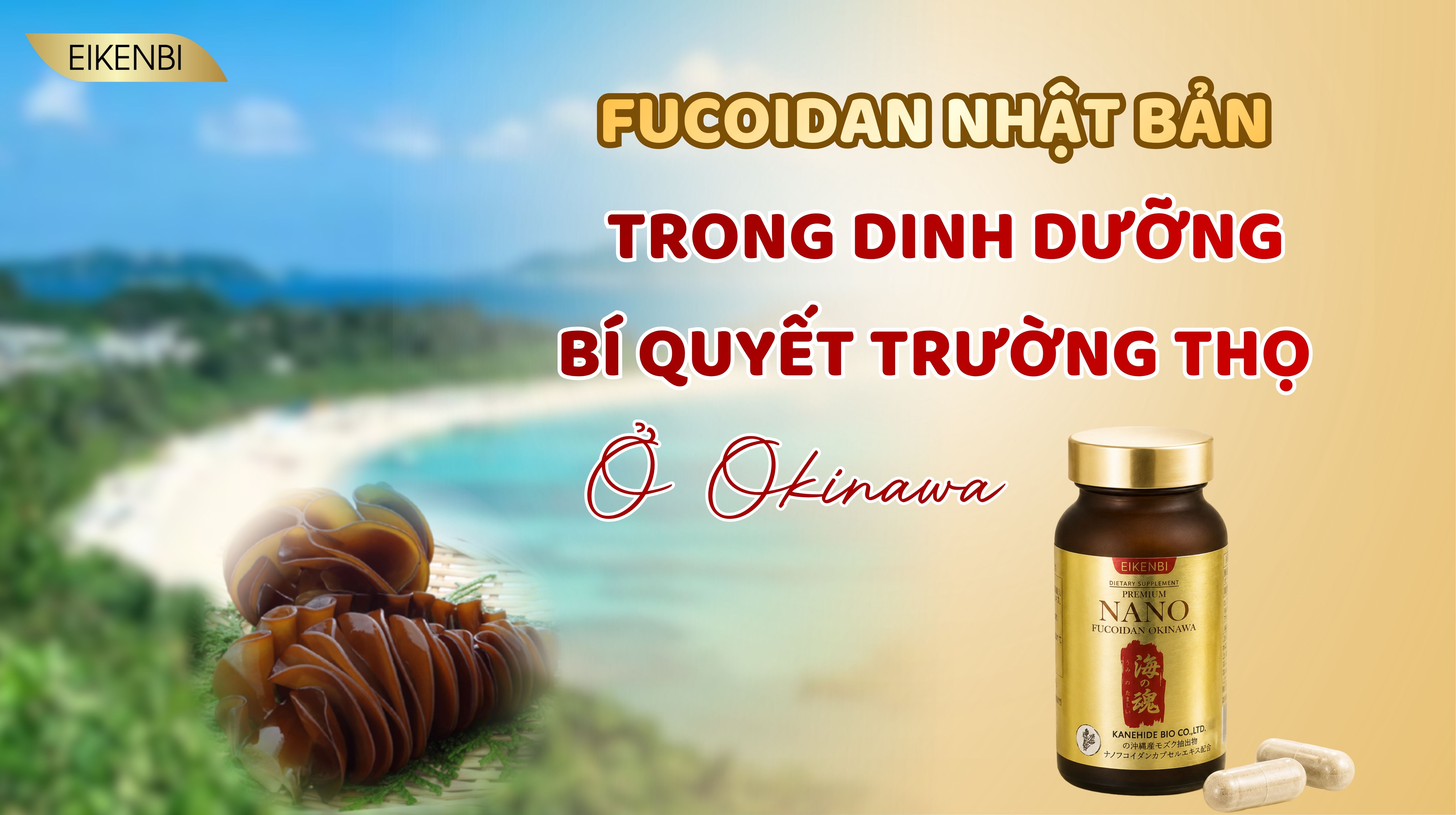 Fucoidan Nhật Bản Trong Dinh Dưỡng: Bí Quyết Trường Thọ Ở Okinawa