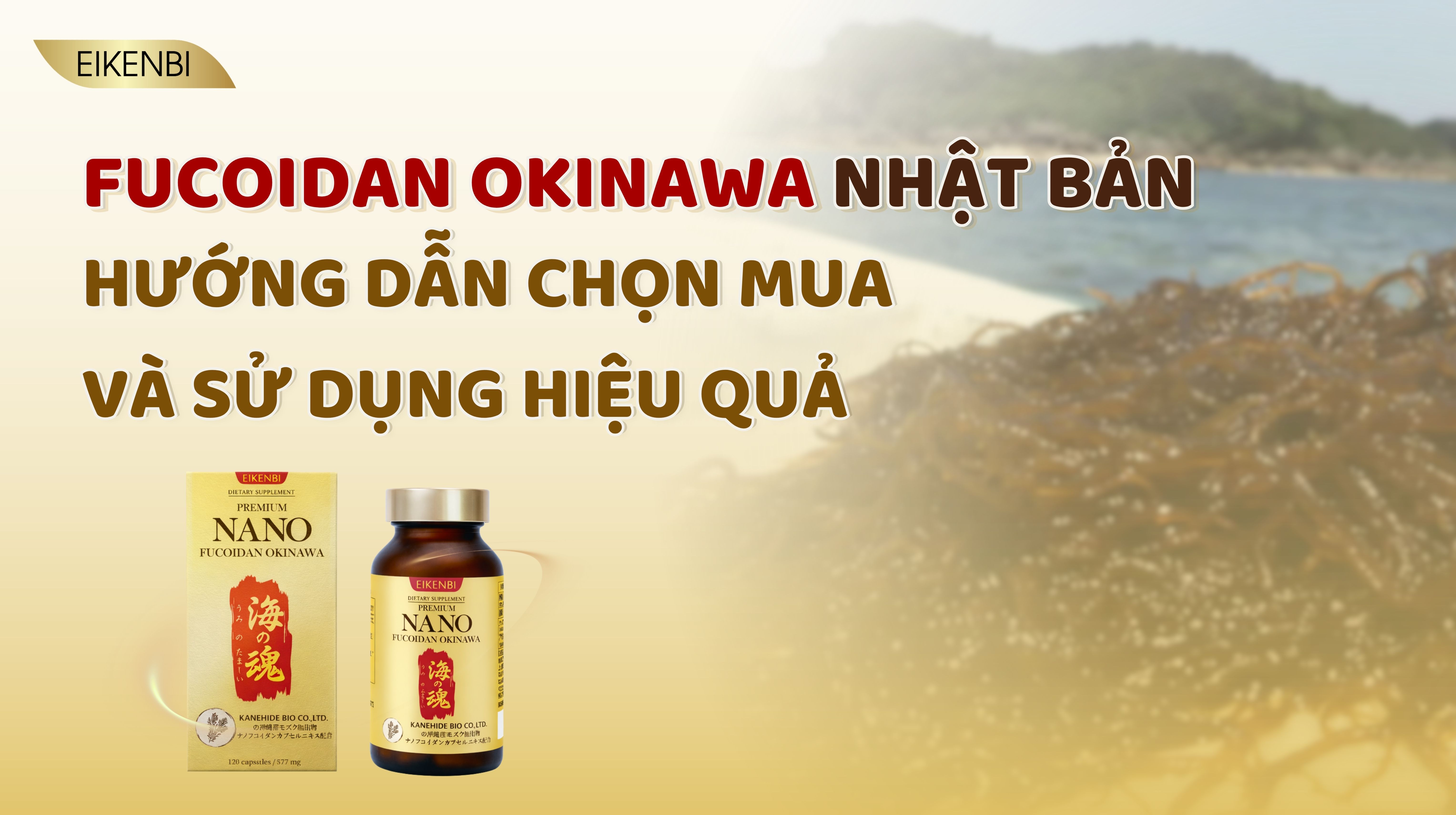 Fucoidan Okinawa Nhật Bản: Hướng Dẫn Chọn Mua Và Sử Dụng Hiệu Quả