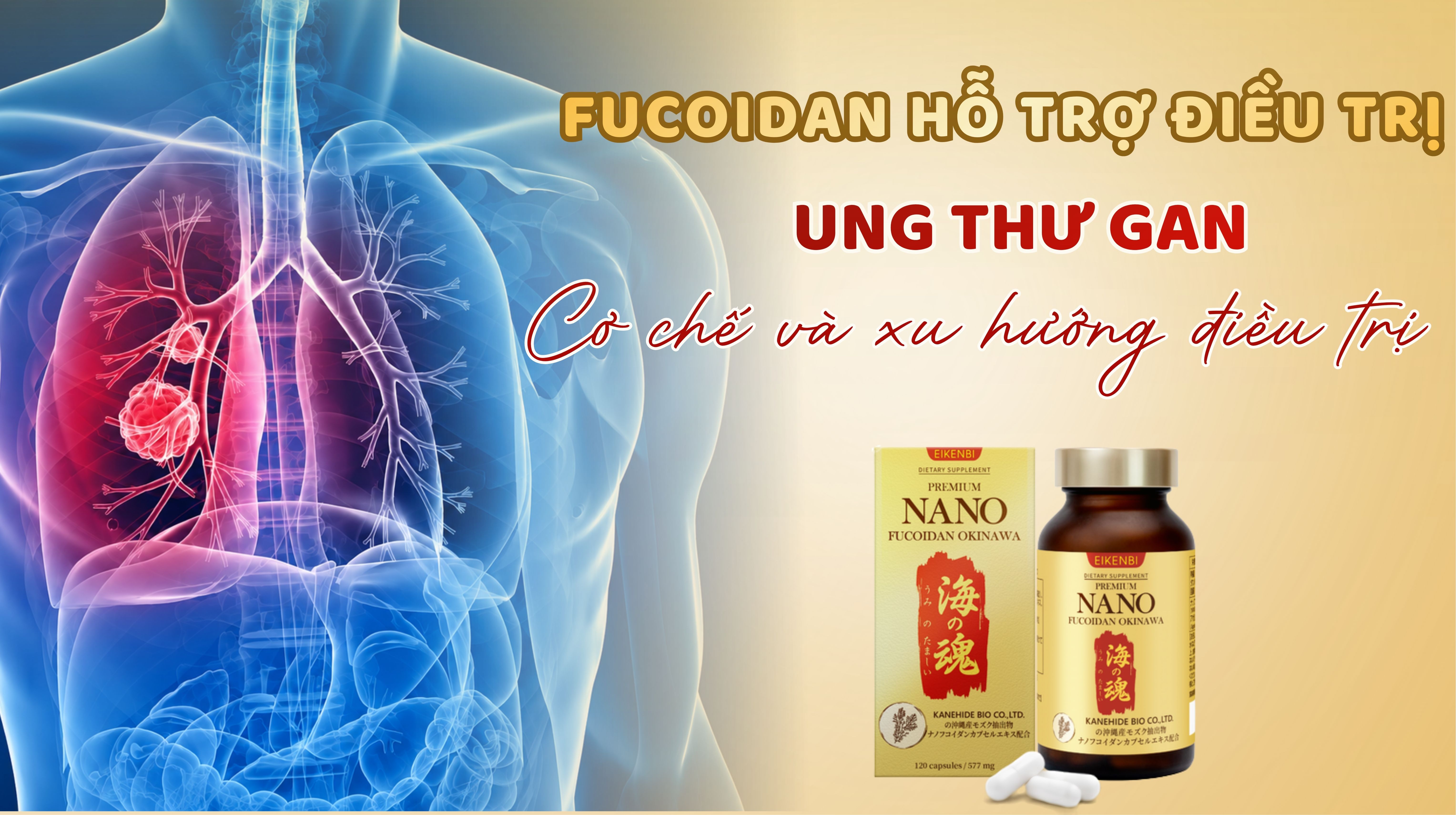 Fucoidan Trong Hỗ Trợ Điều Trị Ung Thư Phổi: Cơ Chế Và Xu Hướng Điều Trị