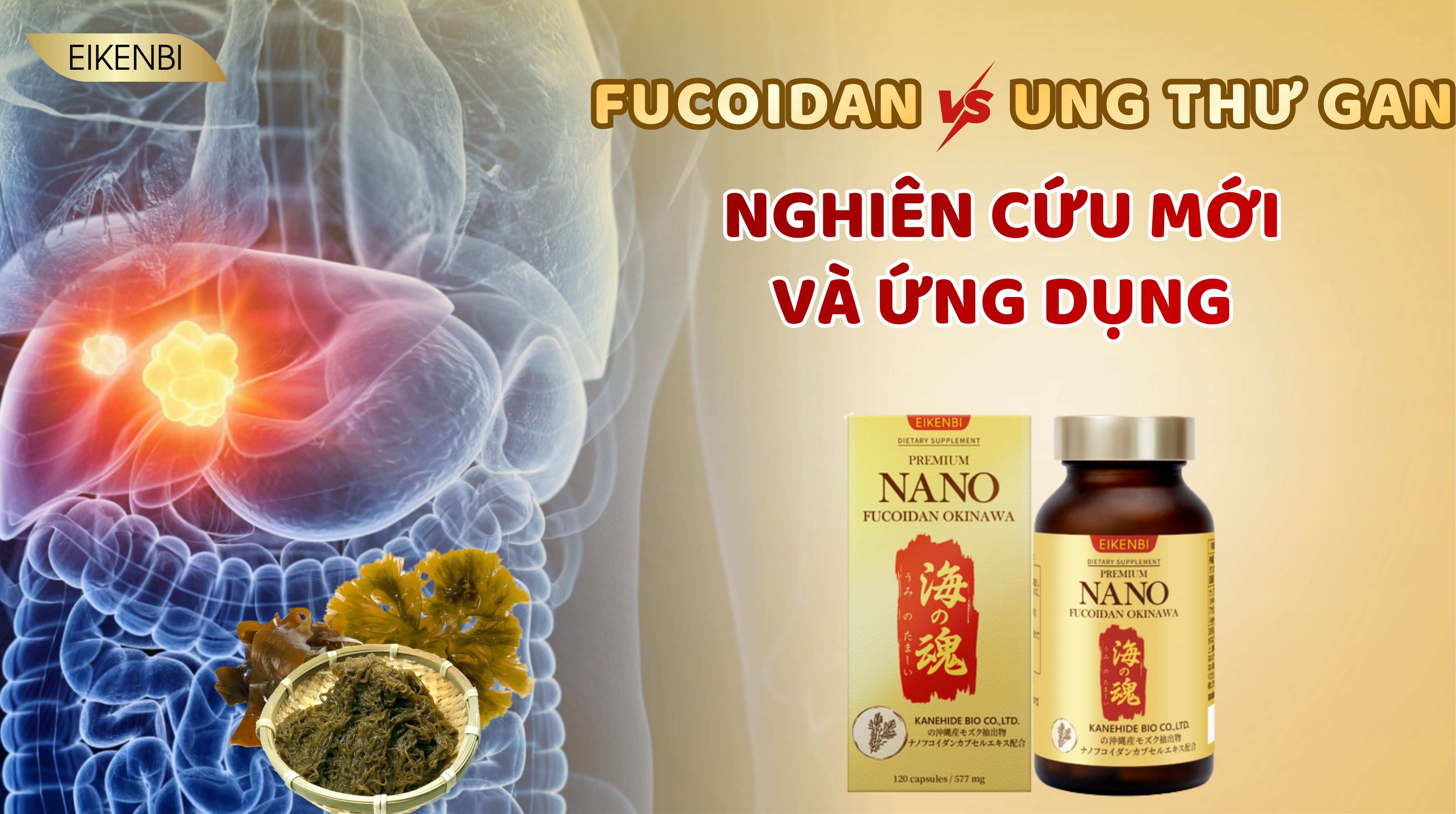 Fucoidan Và Ung Thư Gan: Nghiên Cứu Mới Và Ứng Dụng