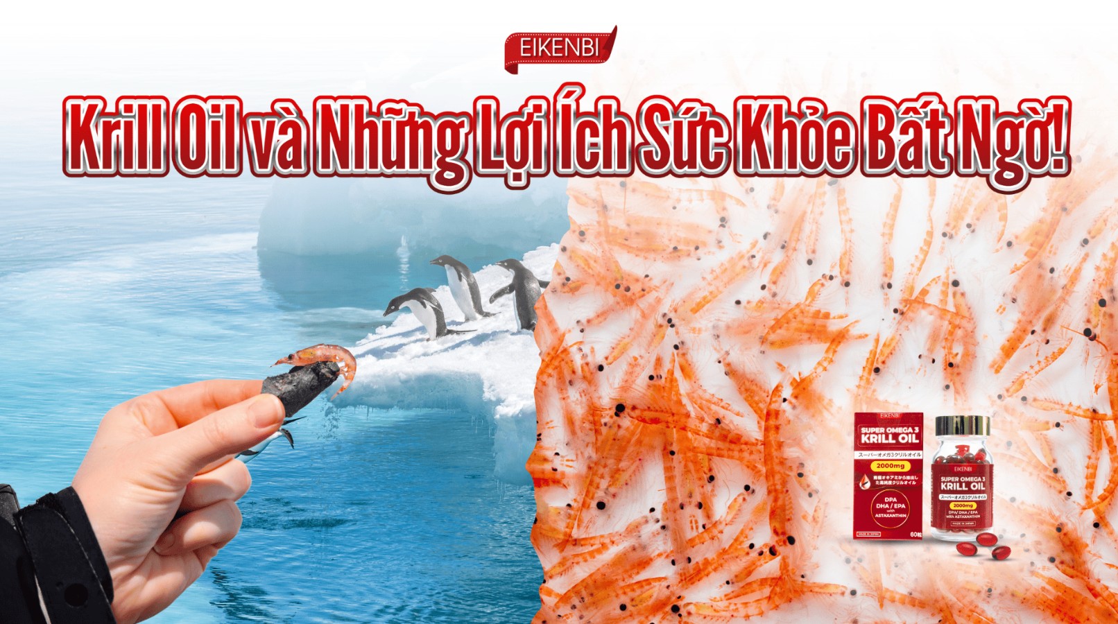 Krill Oil Là Gì? Những Lợi Ích Sức Khỏe Bất Ngờ Từ Krill Oil!