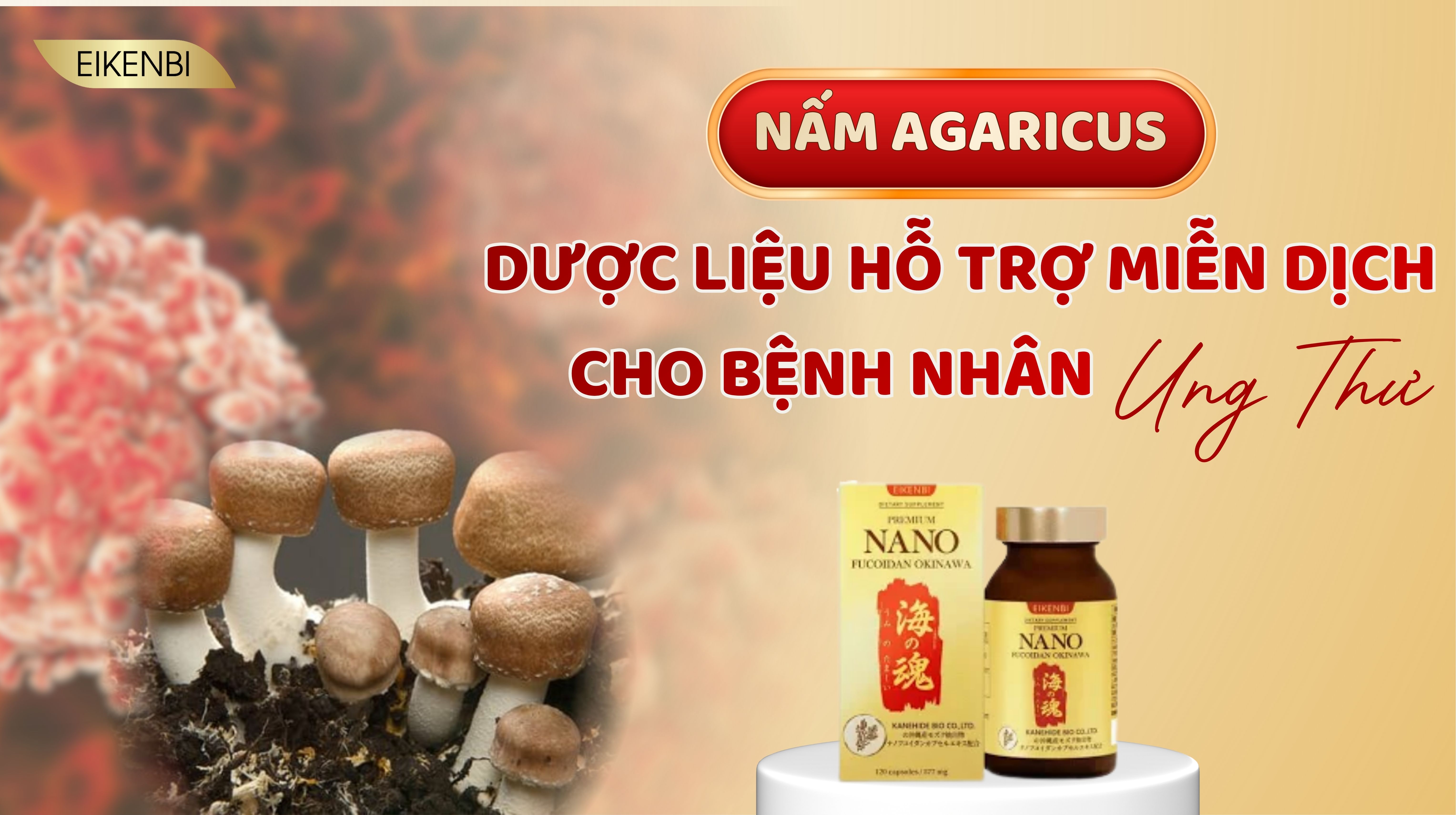 Nấm Agaricus – Dược Liệu Hỗ Trợ Miễn Dịch Cho Bệnh Nhân Ung Thư