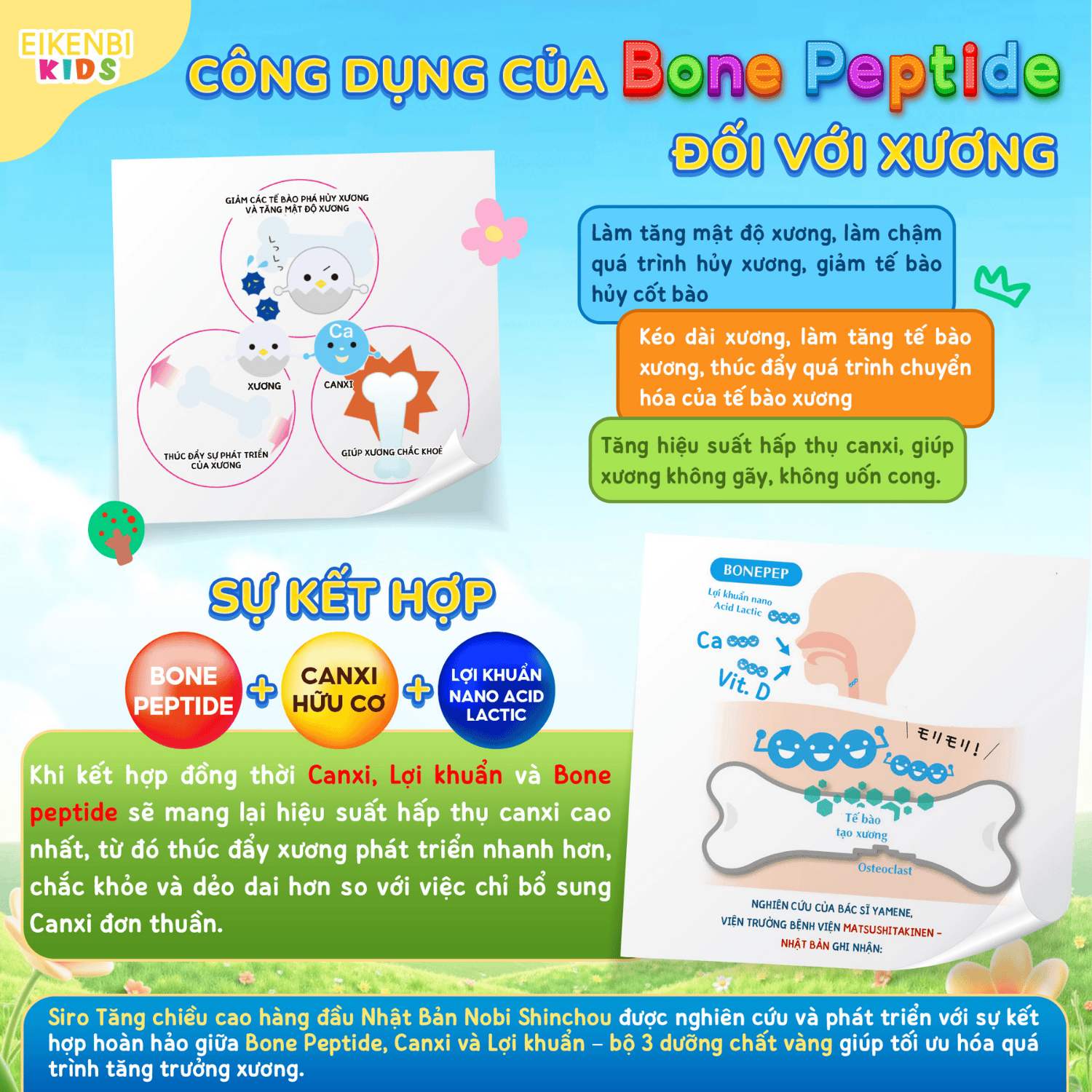 Thành Phần & Công Dụng Nobi Shinchou Eikenbi