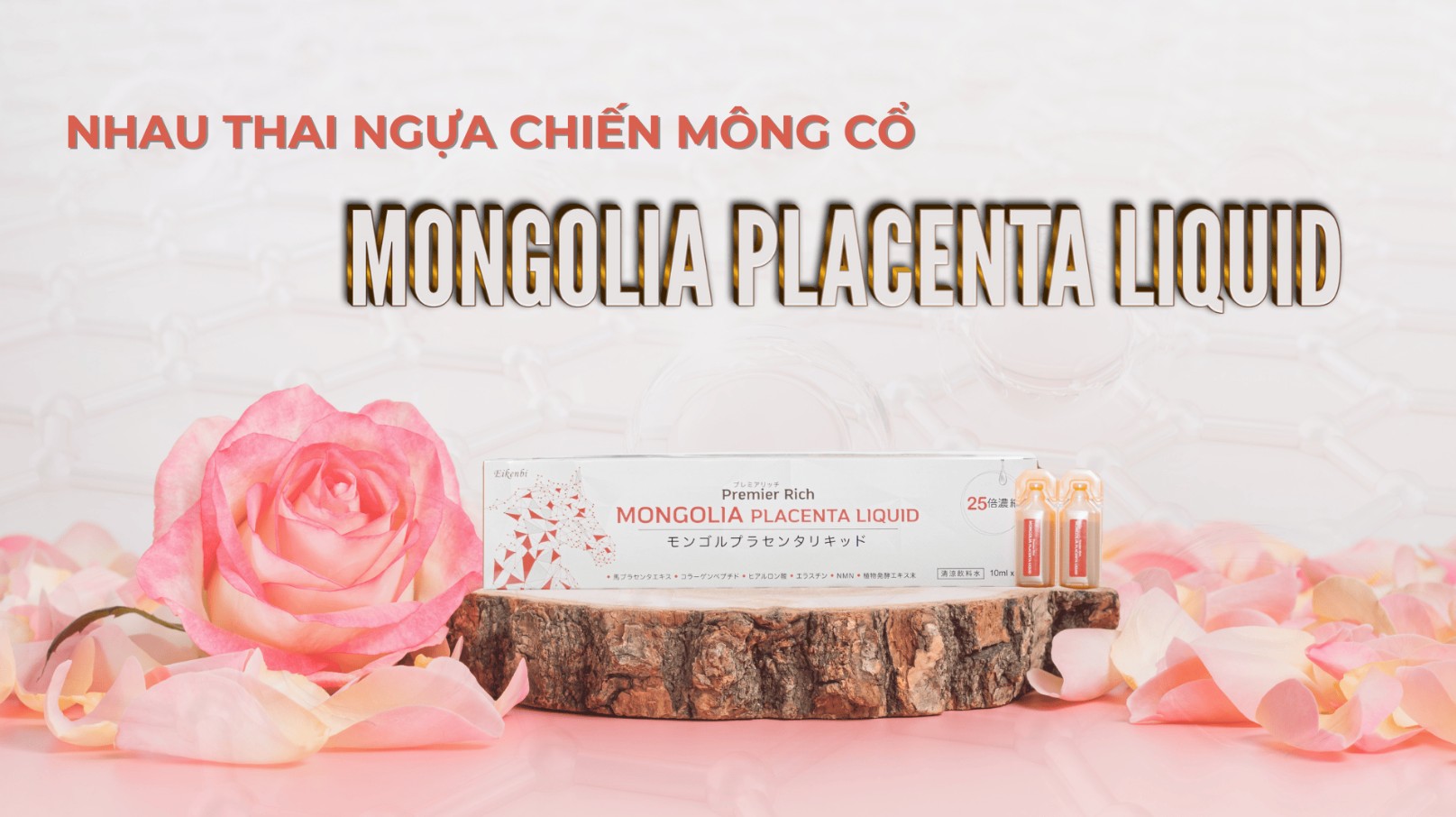 Nước Uống Nhau Thai Ngựa Chiến Mongolia Placenta Liquid Eikenbi [Hộp 30 ống 10ml]