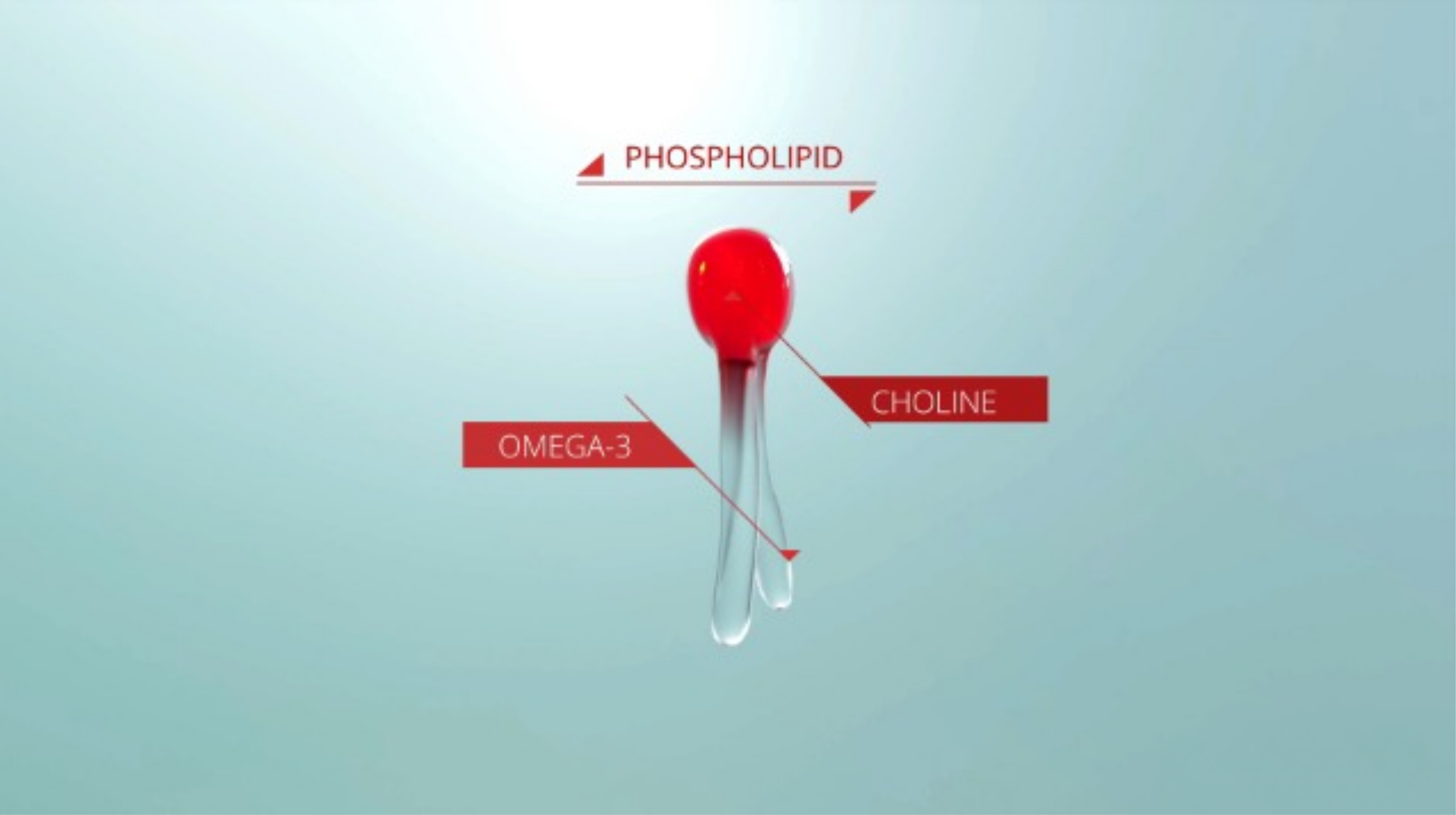 Đặc điểm của Omega 3 dạng Phospholipid