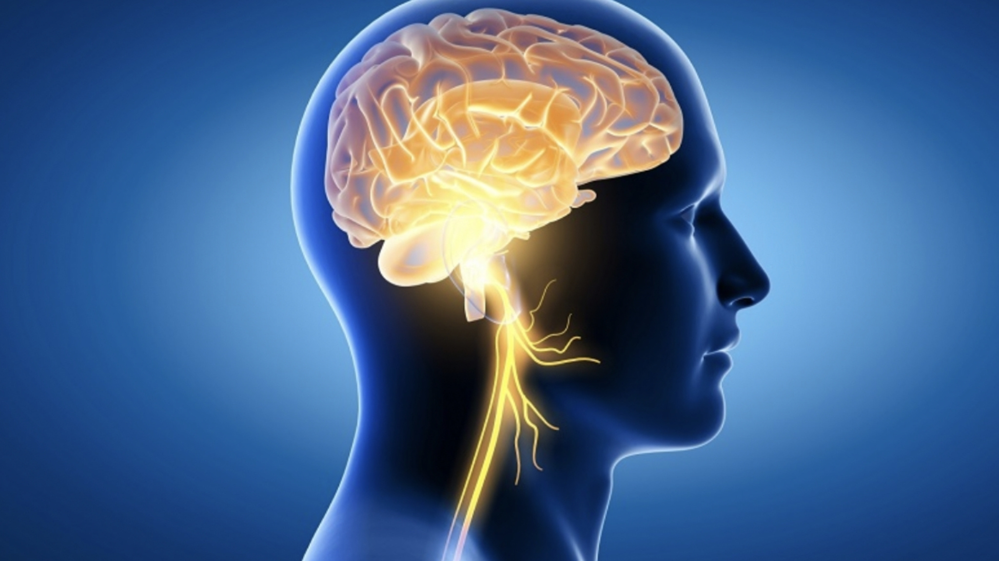 Krill Oil hỗ trợ cải thiện sức khỏe não bộ