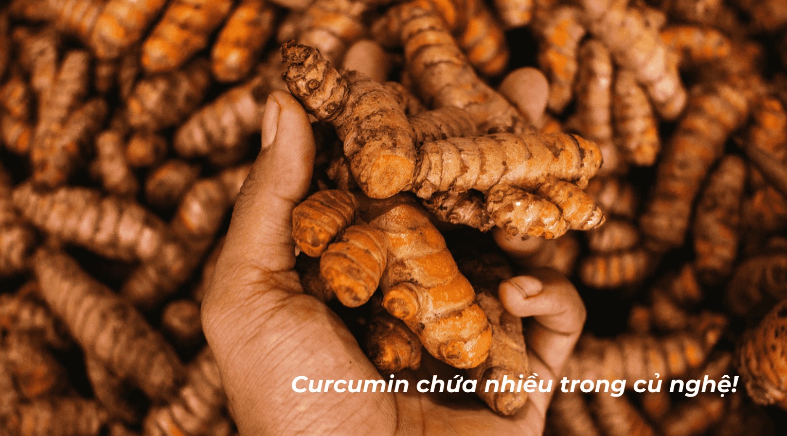 Lợi Ích Của Nano Curcumin Đối Với Sức Khỏe Dạ Dày