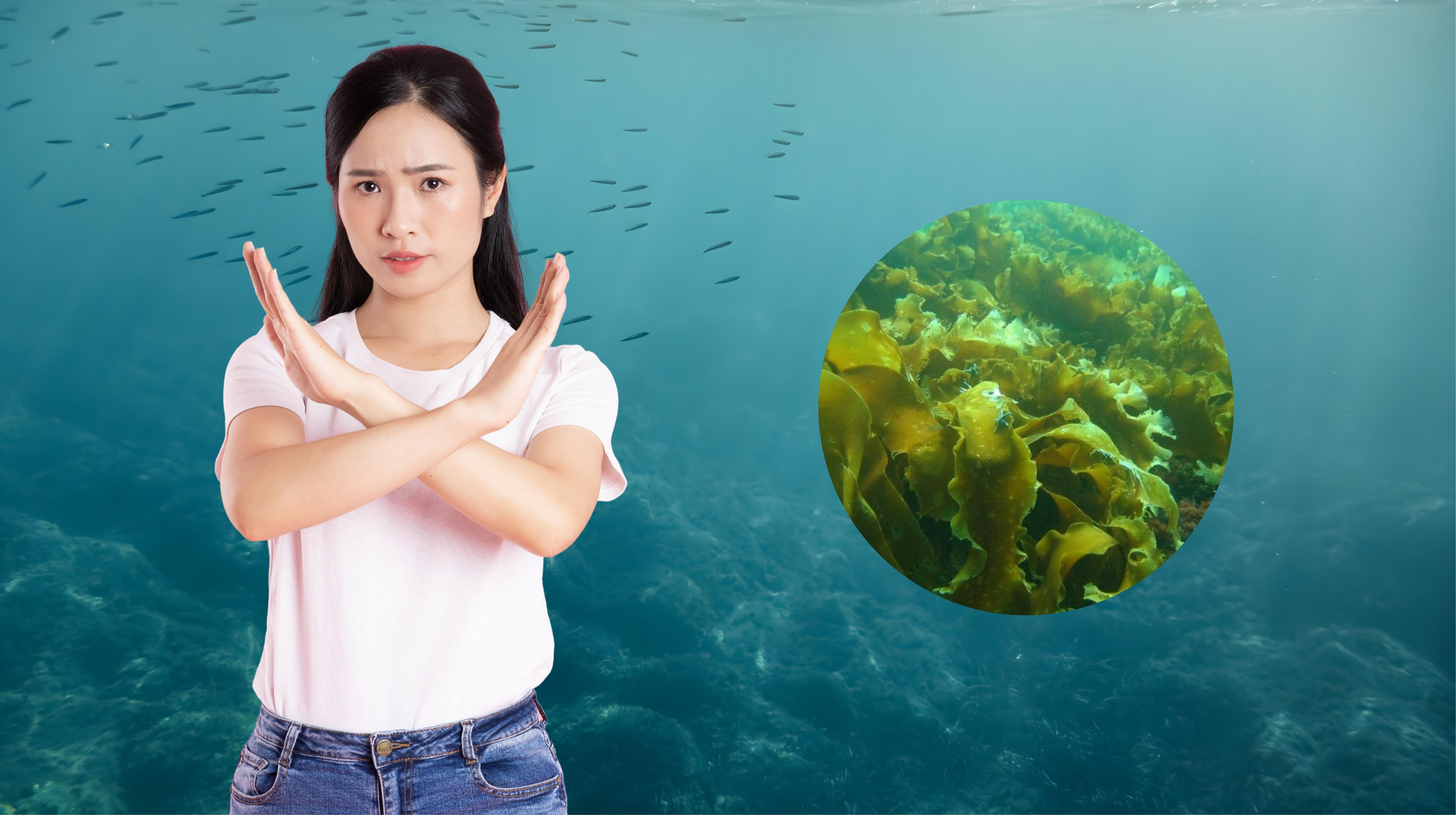 Những nhóm người không nên uống Fucoidan Nano