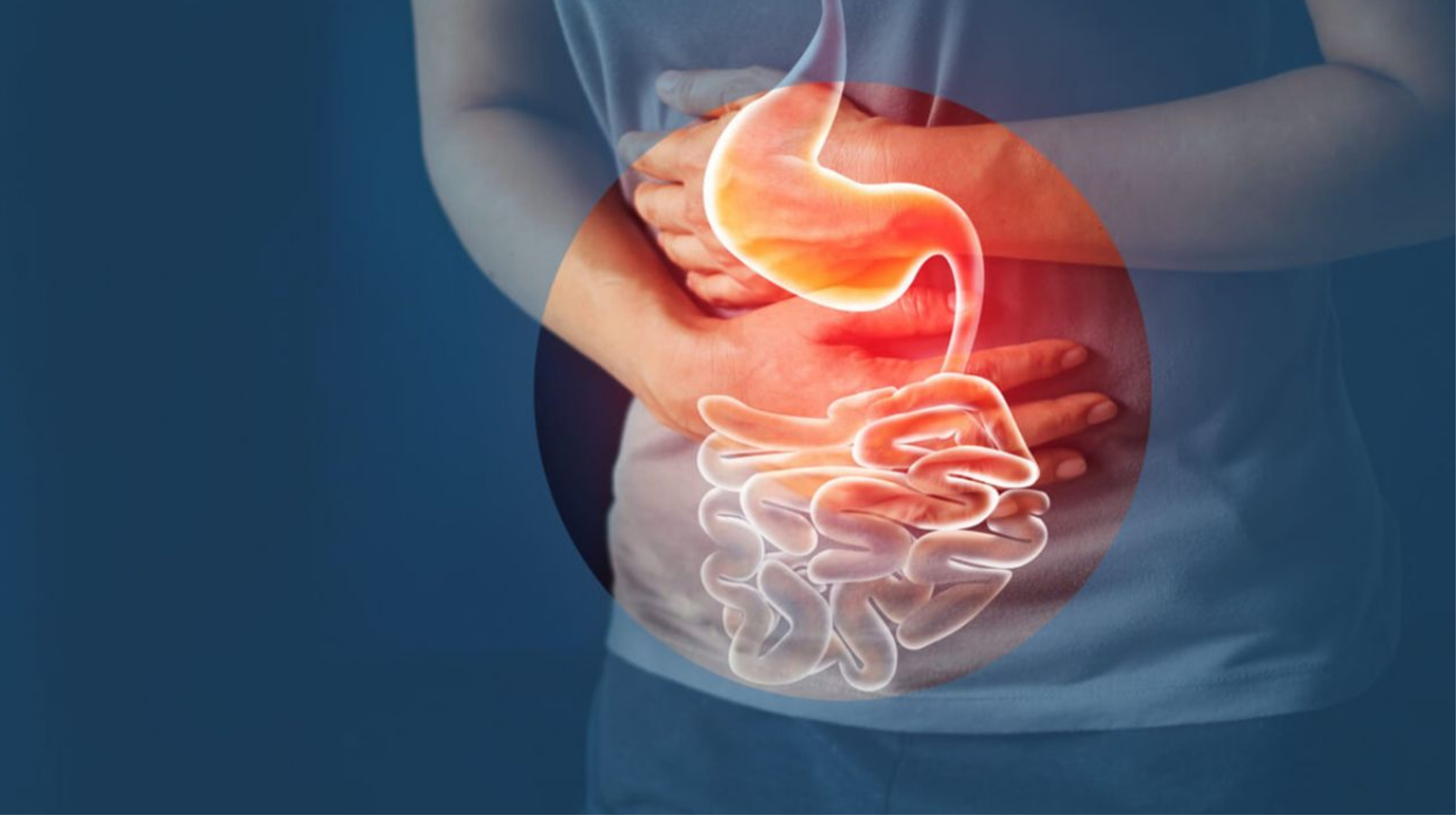 Phospholipid giúp bảo vệ gan và hỗ trợ tiêu hóa