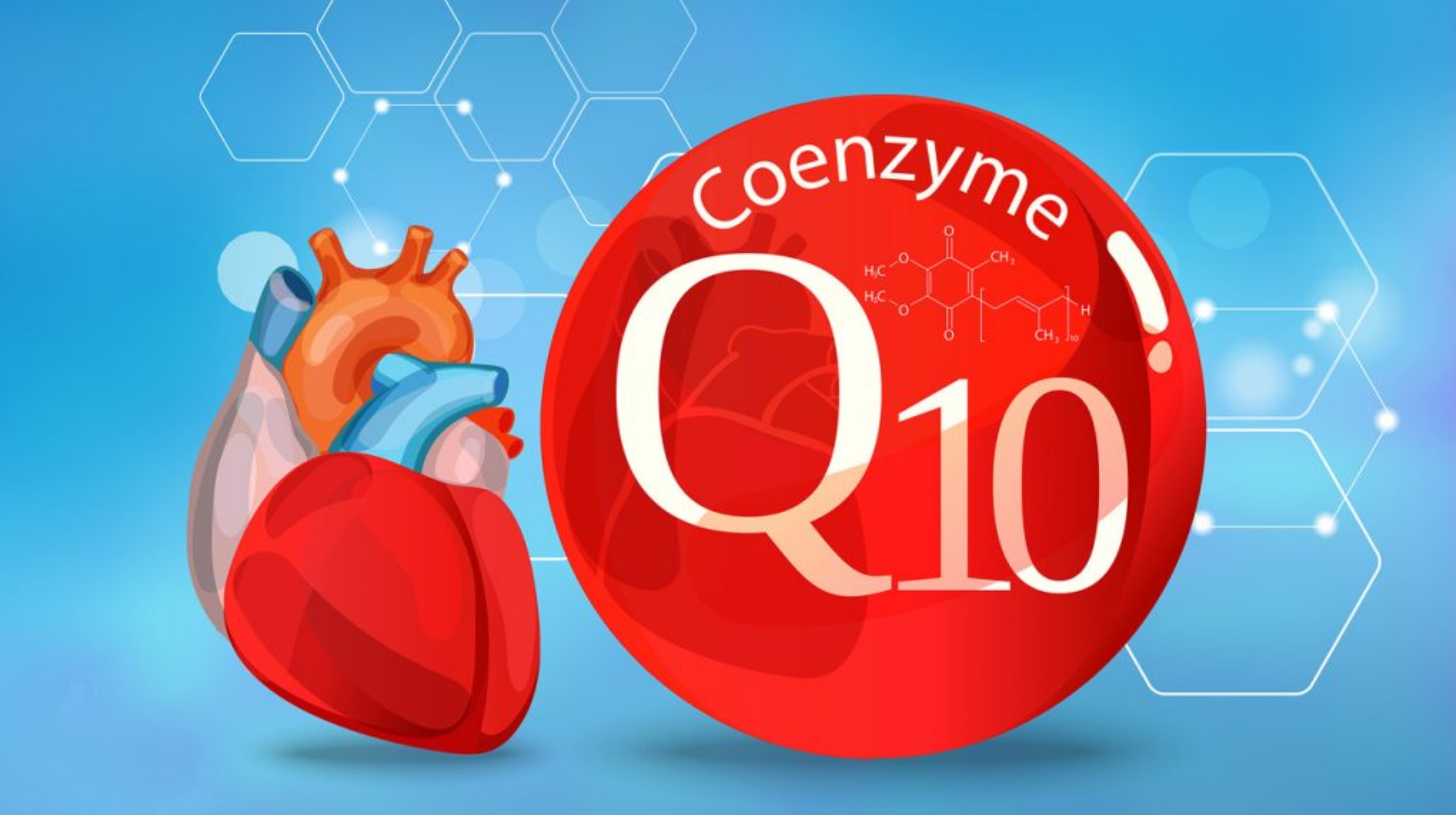 Tác dụng nổi bật của Coenzyme Q10 trong làm đẹp và sức khỏe