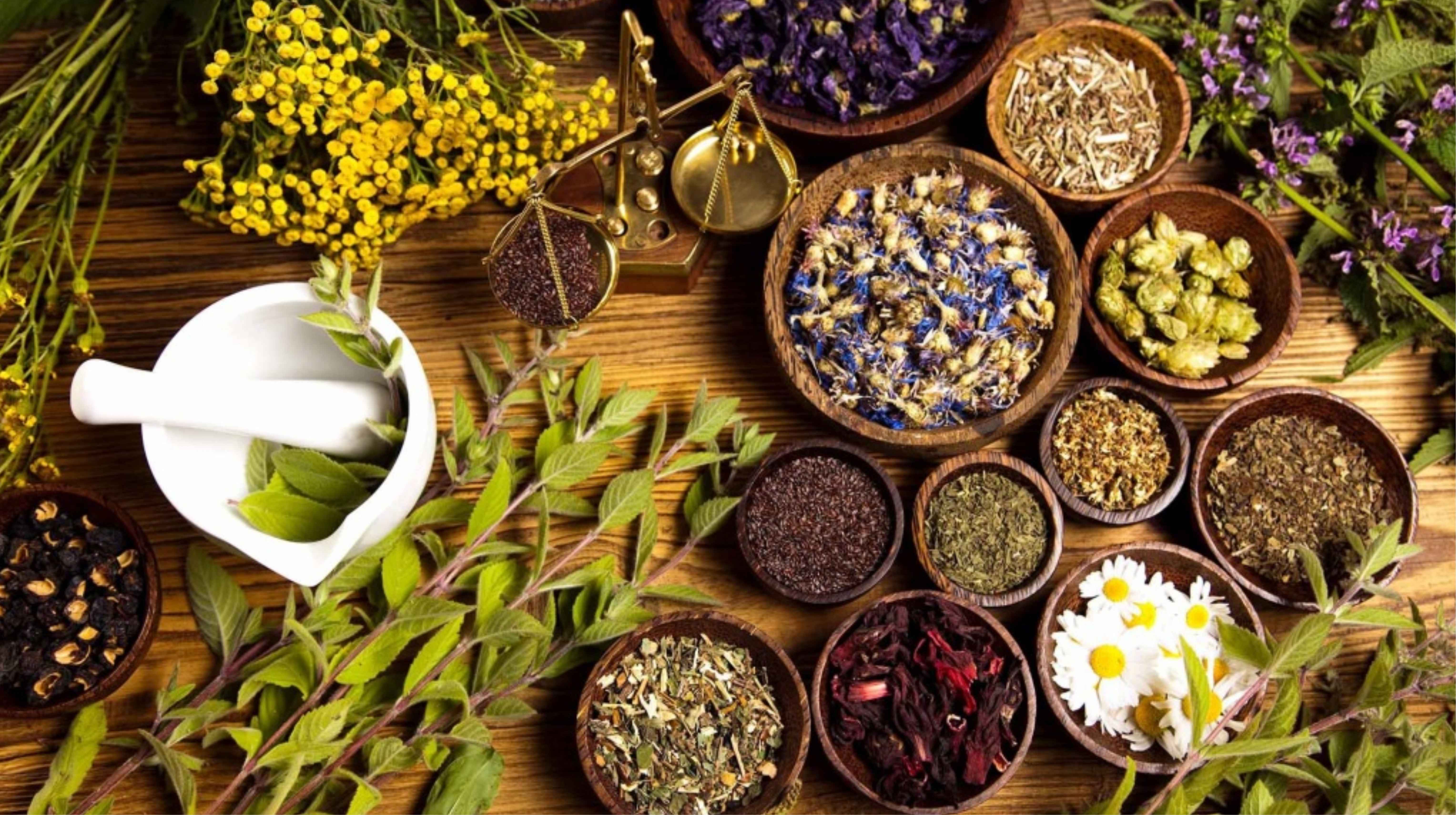 Thảo dược bền vững, an toàn, tác dụng lâu dài