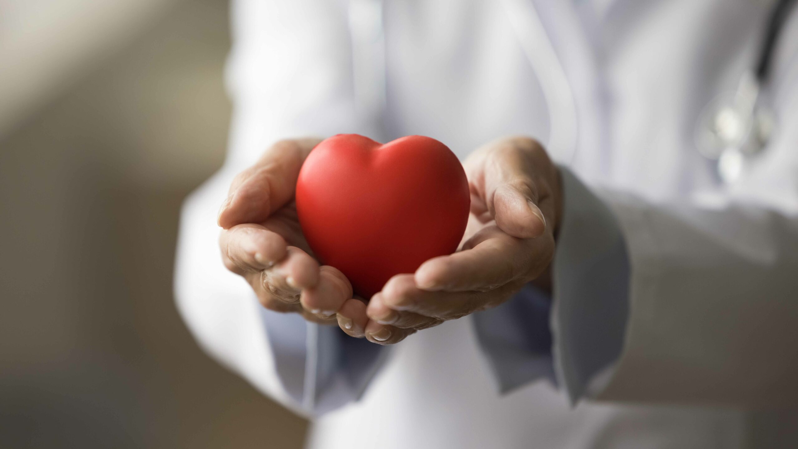 Tỏi đen hỗ trợ các bệnh về tim mạch