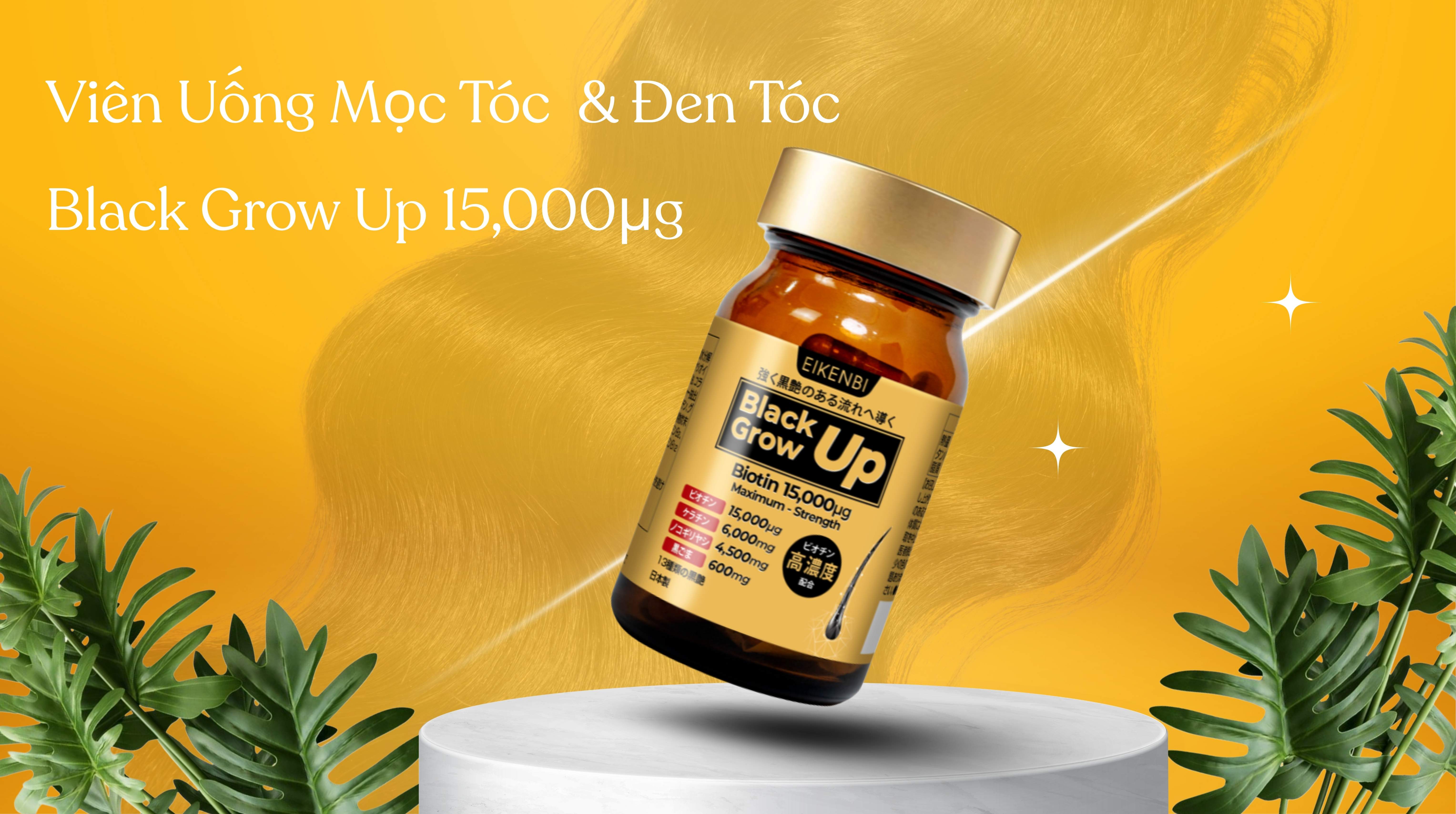 Viên uống mọc tóc và đen tóc Black Grow Up Maximum Biotin của Eikenbi