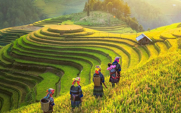 Những Địa Điểm Du Lịch Tây Bắc Những Địa Điểm Du Lịch Tây Bắc