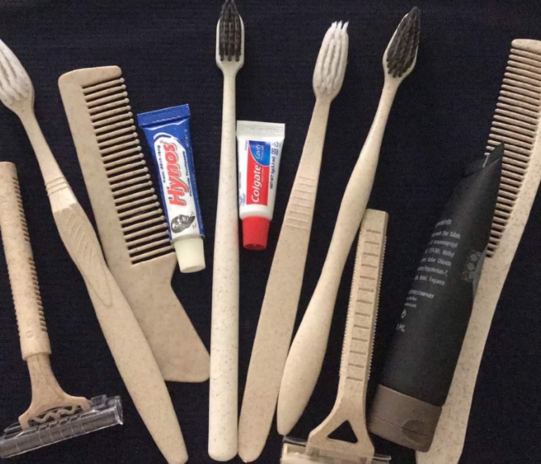 Bàn chải tự huỷ