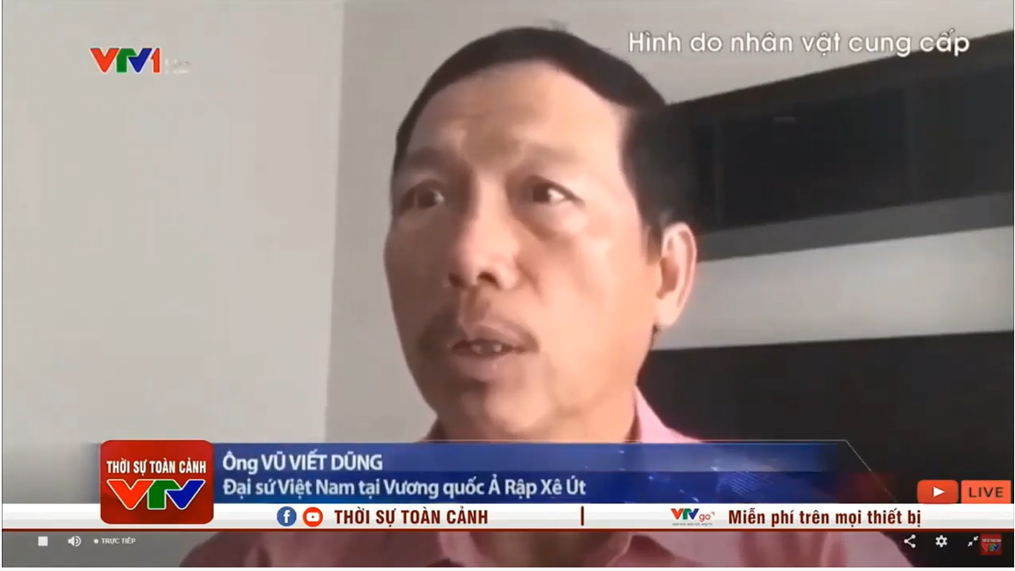 Đại sứ Vũ Viết Dũng phát biểu trên Thời sự VTV1
