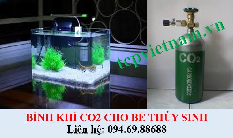 NẠP, SẠC, BƠM BÌNH KHÍ CO2 THỦY SINH HỒ CÁ TẠI HÀ NỘI