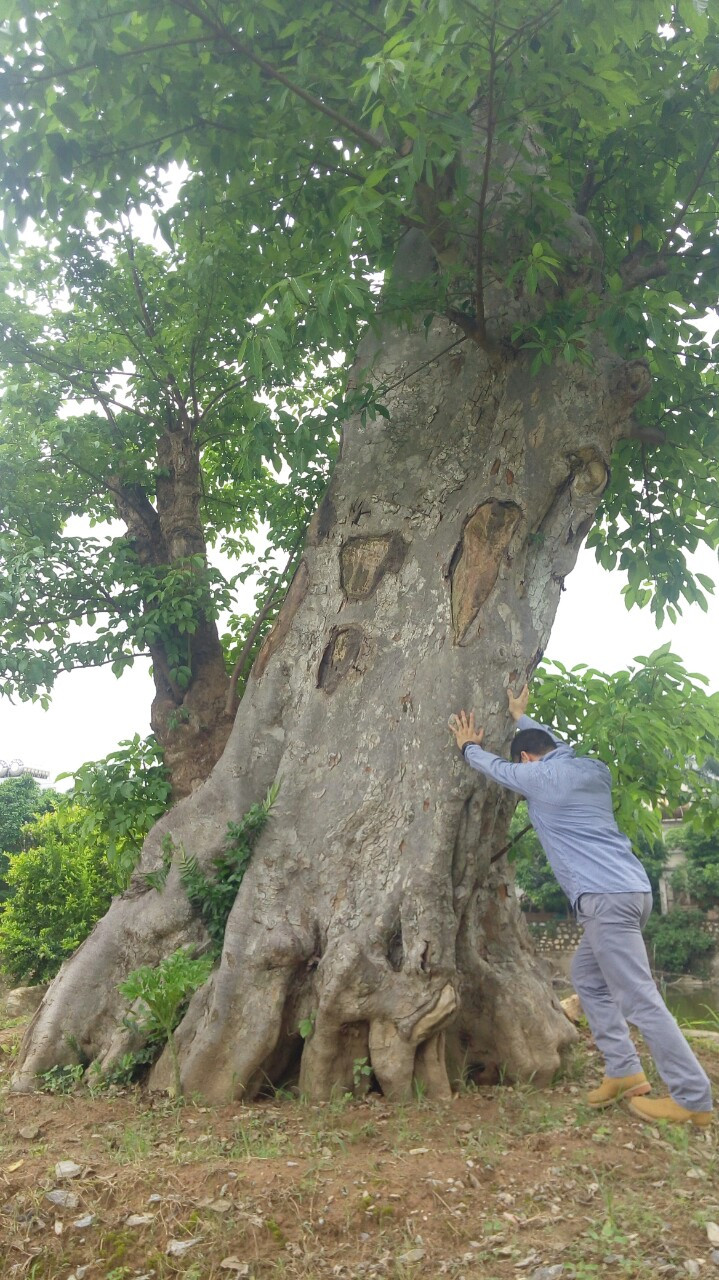 phu-nu-muon-hanh-phuc-dung-quen-5-dieu-nay